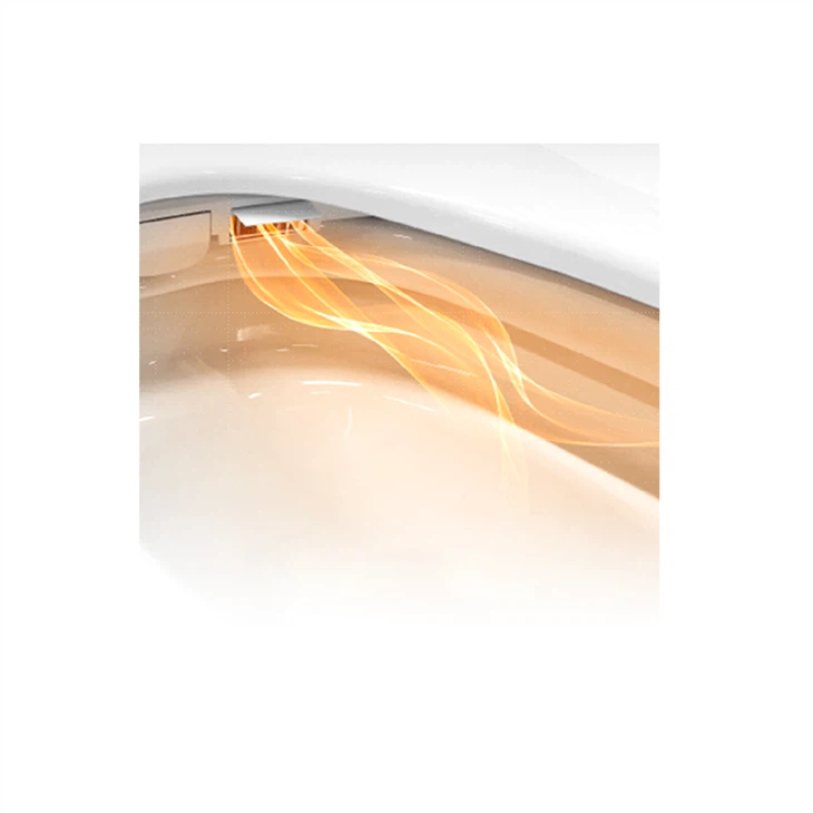 electric bidet with dryer