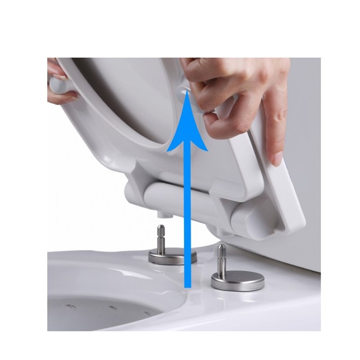 take-off-toilet-seat-hinge