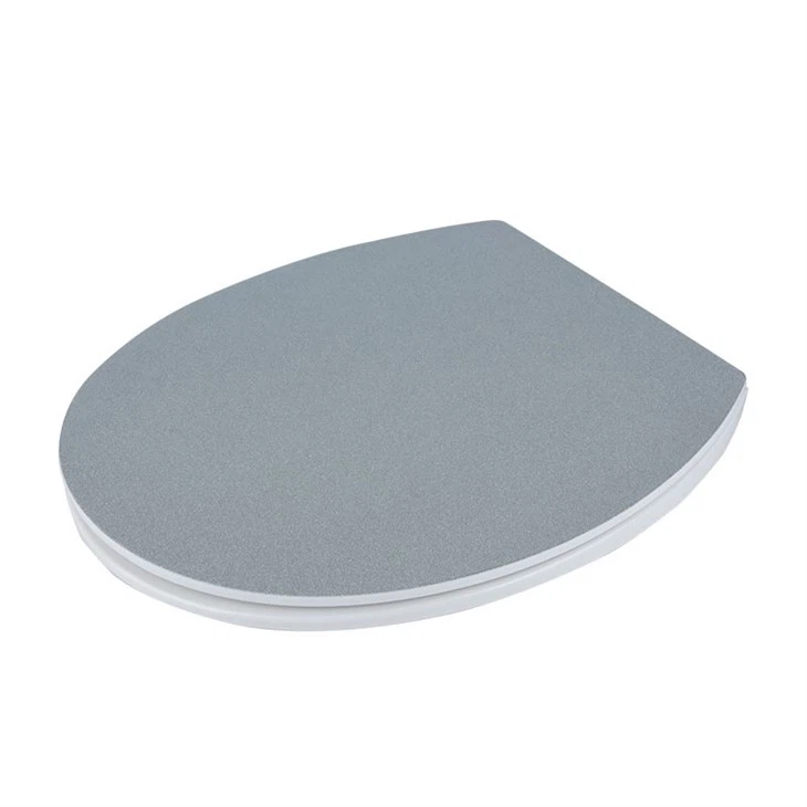 1 silver-glitter-toilet-seat