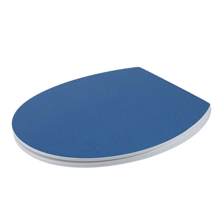 2 blue-glitter-toilet-seat